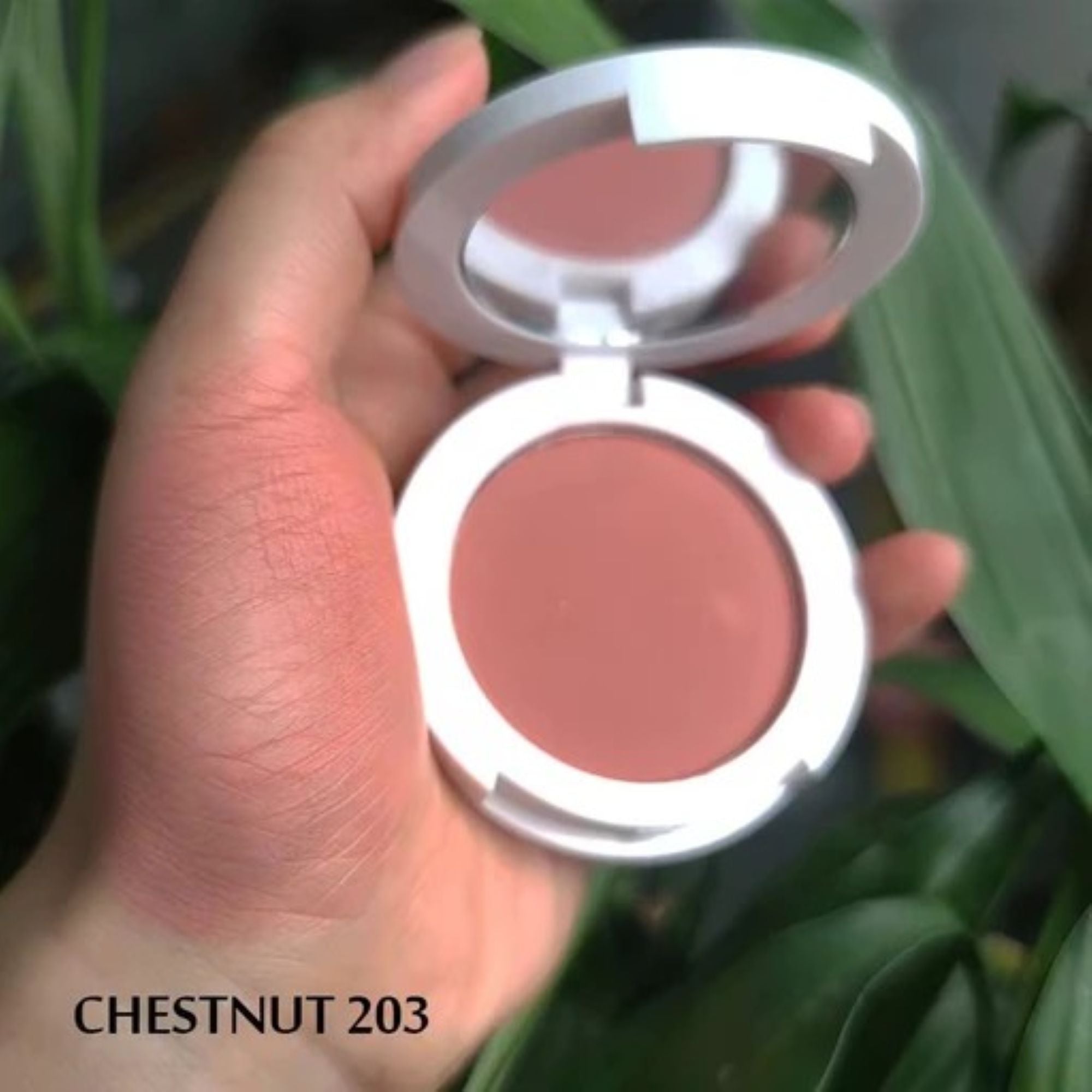 IBEAUTY BLUSH POWDER CHESTNUT 4.5G Main image